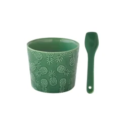 Bol à glace avec cuillère- VersPineapple