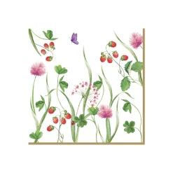 Paquet de 20 serviettes EN PLEIN AIR